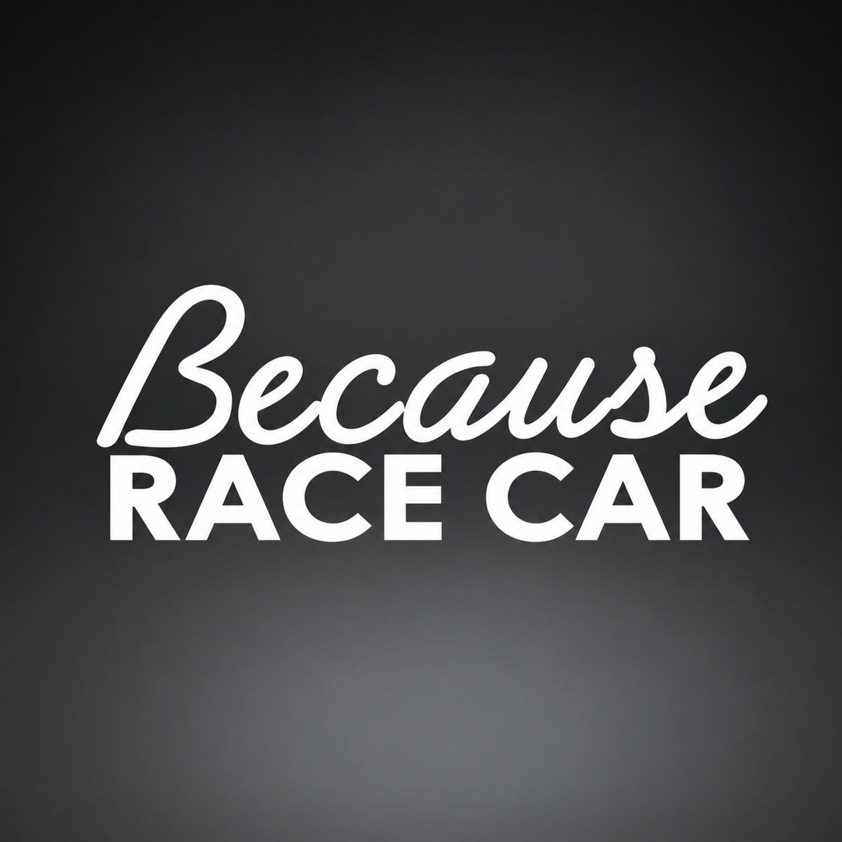 Because Race Car funny vinyl sticker